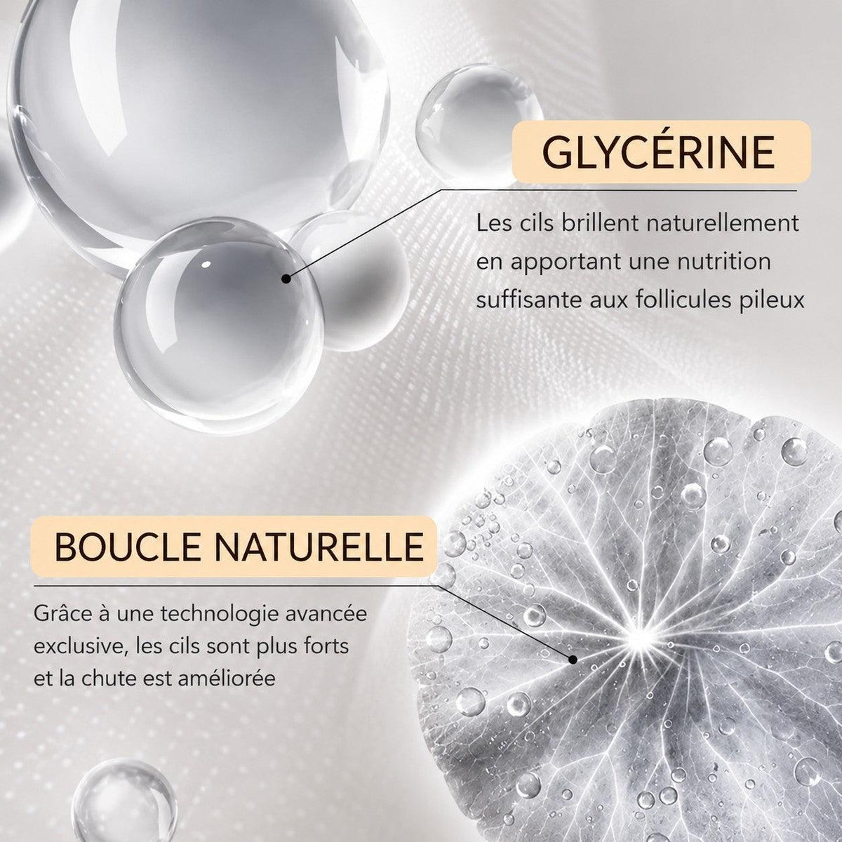 Infographie Lumina Lash expliquant les bienfaits de la glycérine et de la technologie de boucle naturelle pour les cils